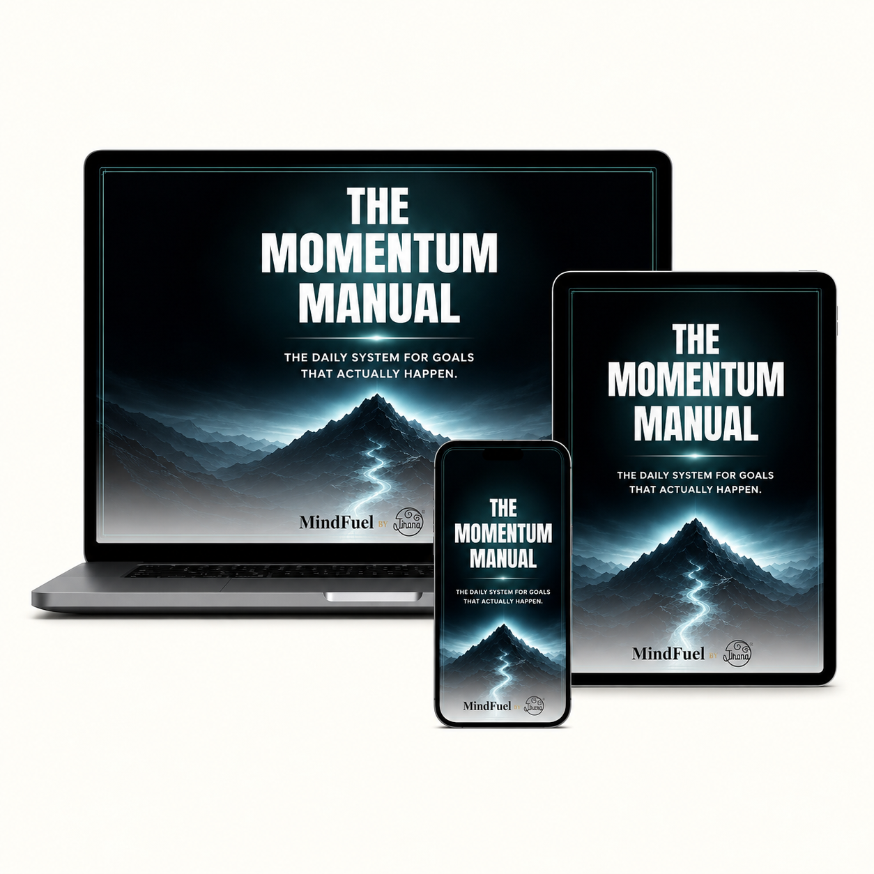 The Momentum Manual - Image 2